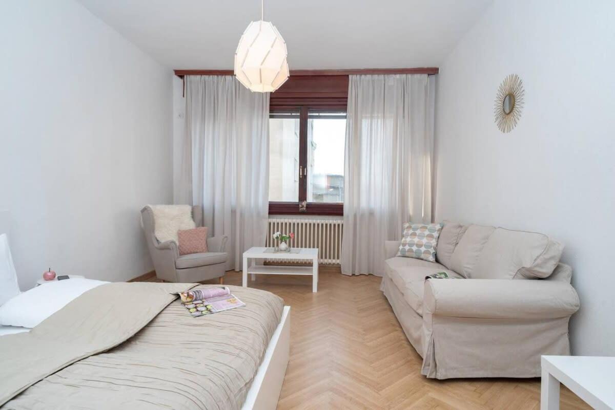 Convenient Apartment In The Heart Of Downtown Budapest Eksteriør billede